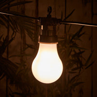 20 DUO COLOUR LED PRO FESTOON - CONNECTABLE