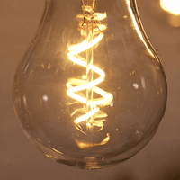20 LED SPIRAL FILAMENT BULB FESTOON  - CONNECTABLE