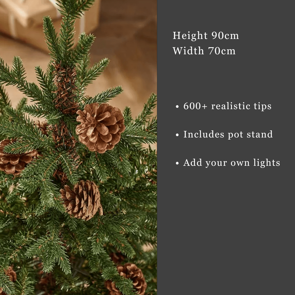 3' BUCKINGHAM PINE POTTED TREE