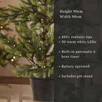 Nordmann Fir Pre-lit Potted Tree - 3 Ft Tall