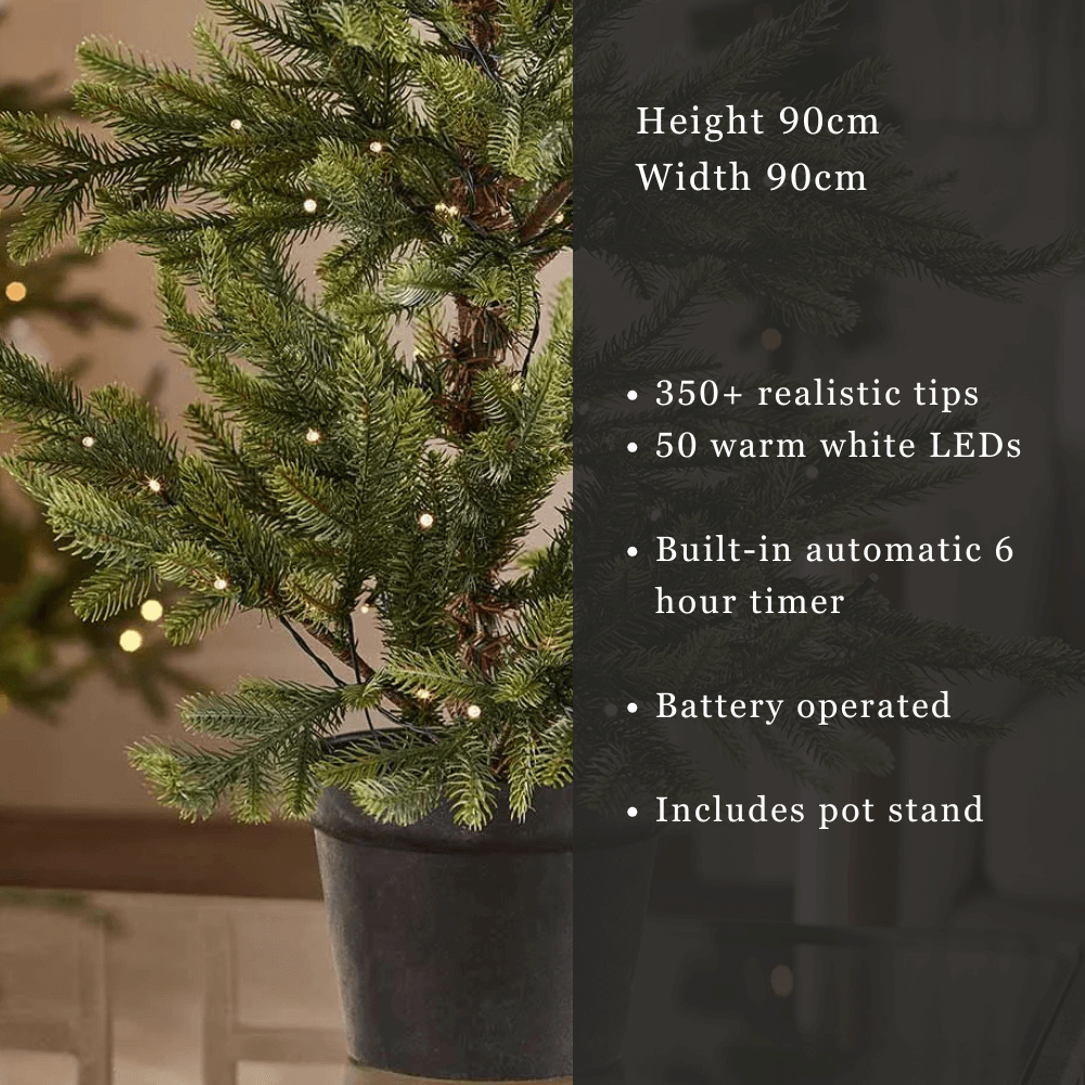 Nordmann Fir Pre-lit Potted Tree - 3 Ft Tall