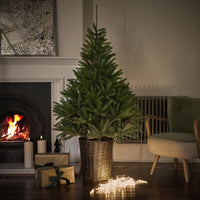 Glenside Fir Tree in Basket - 6ft Tall