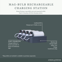 MAGBULB 4 PORT CHARGING STATION