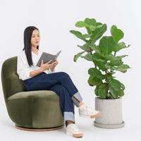 SUSIE SWIVEL CHAIR IN GREEN VELVET