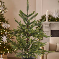 Nordmann Fir Pre-lit Potted Tree - 3 Ft Tall