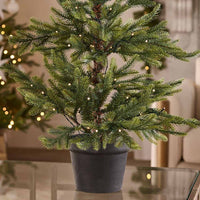 Nordmann Fir Pre-lit Potted Tree - 3 Ft Tall