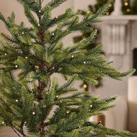 Nordmann Fir Pre-lit Potted Tree - 3 Ft Tall