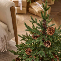 3' BUCKINGHAM PINE POTTED TREE